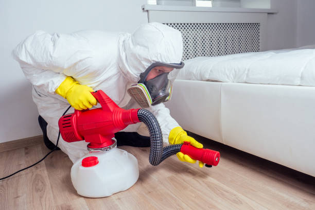 Best Rat Extermination Near Me  in Vienna, GA