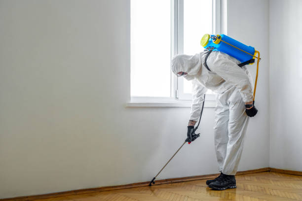 Best Emergency Pest Control  in Vienna, GA
