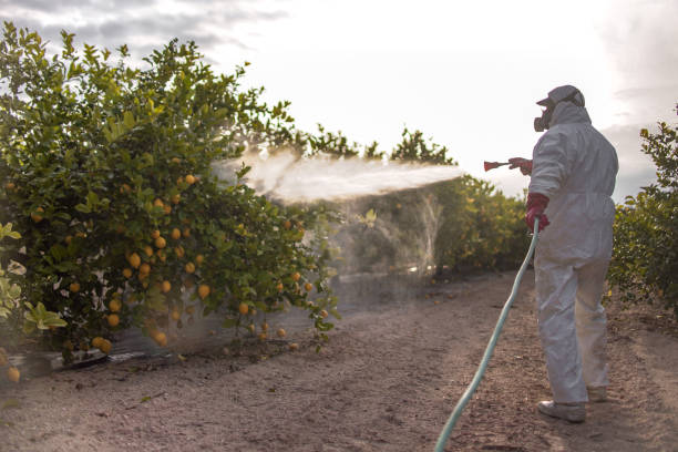 Best Exterminator Services  in Vienna, GA