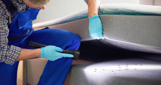 Best Commercial Pest Control Services  in Vienna, GA
