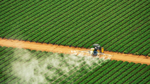 Best Pest Control for Homes  in Vienna, GA